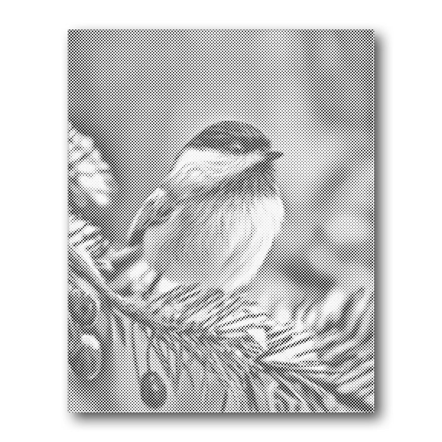 Dot PaintingSongbird on Branch - isuvio