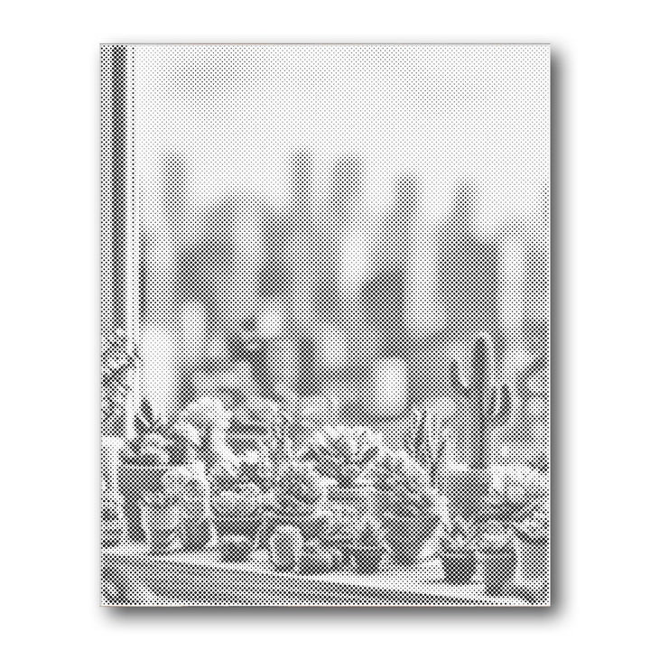 Dot PaintingSucculent Plants Window - isuvio