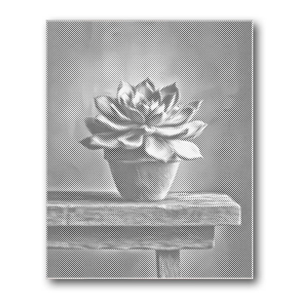 Dot PaintingSucculent Pot Wooden Table - isuvio
