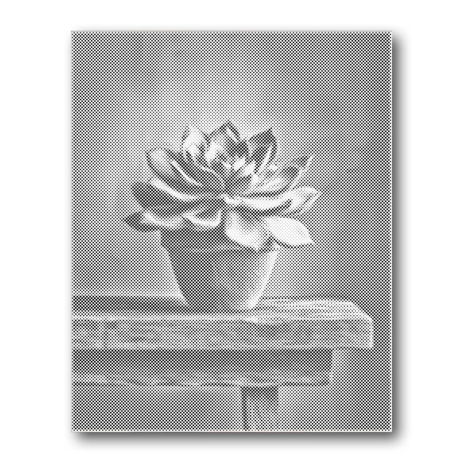 Dot PaintingSucculent Pot Wooden Table - isuvio
