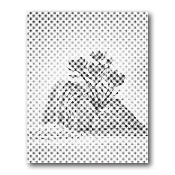 Dot PaintingSucculent Rock Sand - isuvio