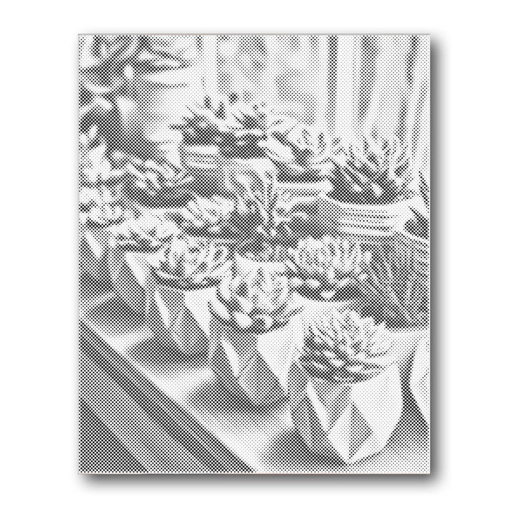 Dot PaintingSucculent Row Sunlight - isuvio