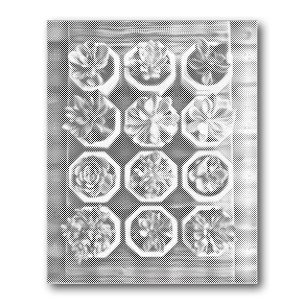 Dot PaintingSucculent Tray Grid - isuvio