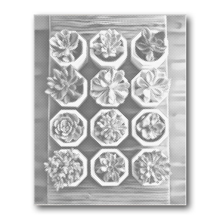 Dot PaintingSucculent Tray Grid - isuvio