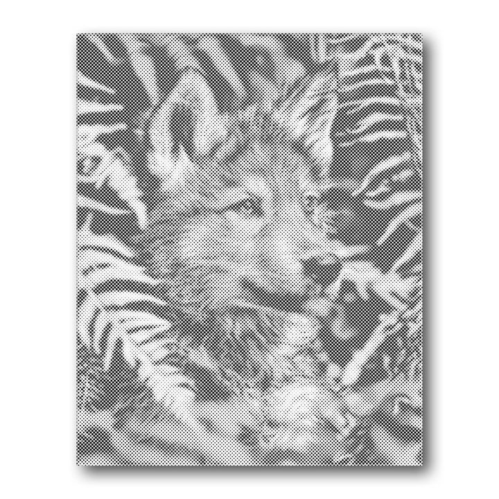 Dot PaintingWolf Pup Portrait - isuvio